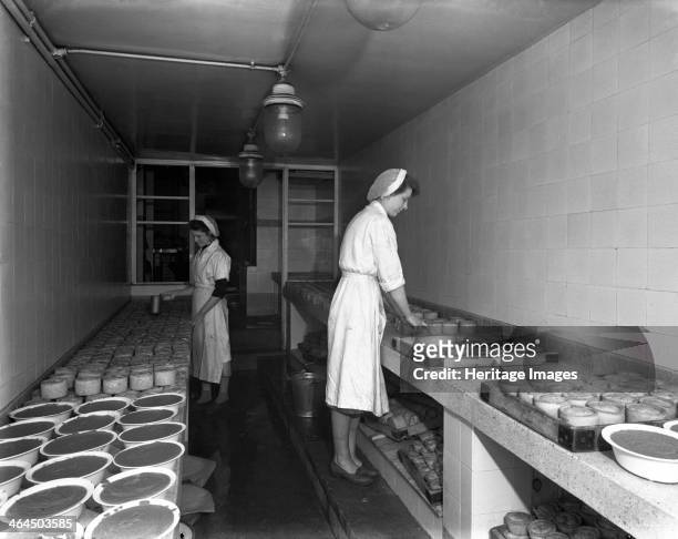 Making pork pies, Schonhut's butchery factory, Rawmarsh, South Yorkshire, 1955. Schonhut's butchery factory in the village of Rawmarsh, near...
