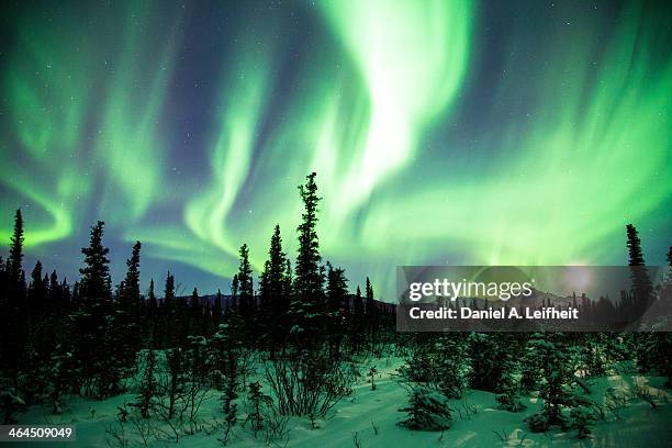 northern lights - aurora borealis alaska stock pictures, royalty-free photos & images