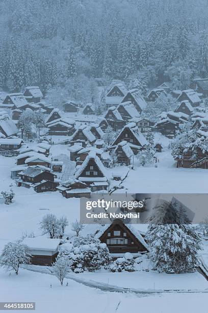 shirakawa historical village in snow - shirakawa go stockfoto's en -beelden