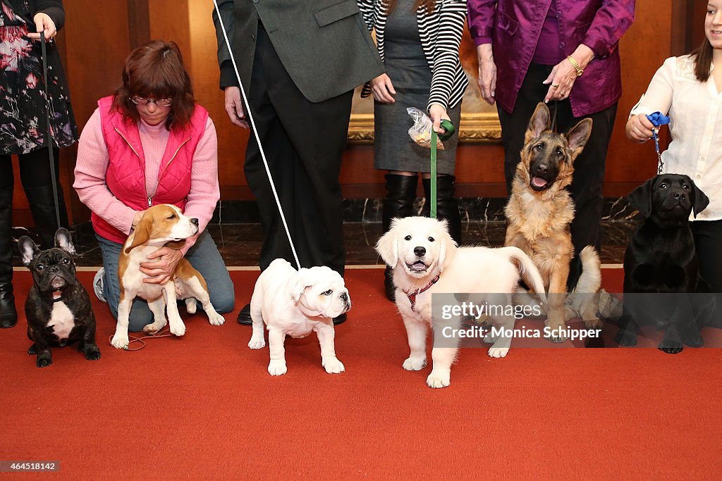 American Kennel Club Reveals Top Breeds Of 2014