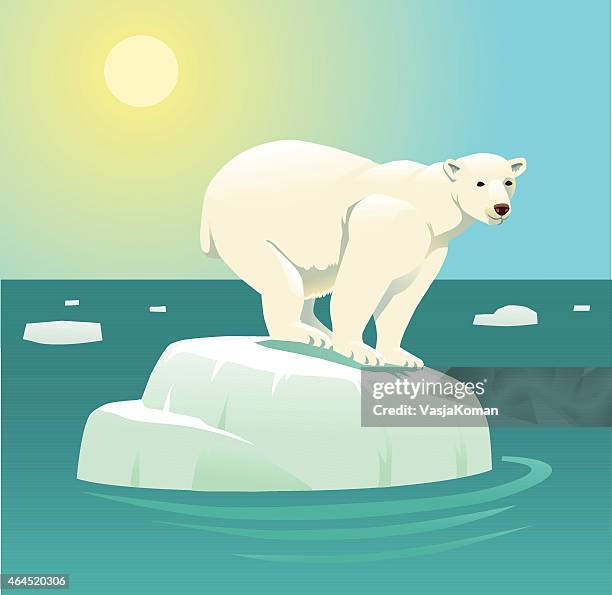 global warming and polar bear on ice floe - polar bear stock illustrations