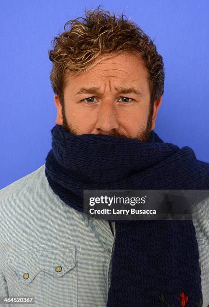 Actor Chris O'Dowd poses for a portrait during the 2014 Sundance Film Festival at the WireImage Portrait Studio at the Village At The Lift Presented...