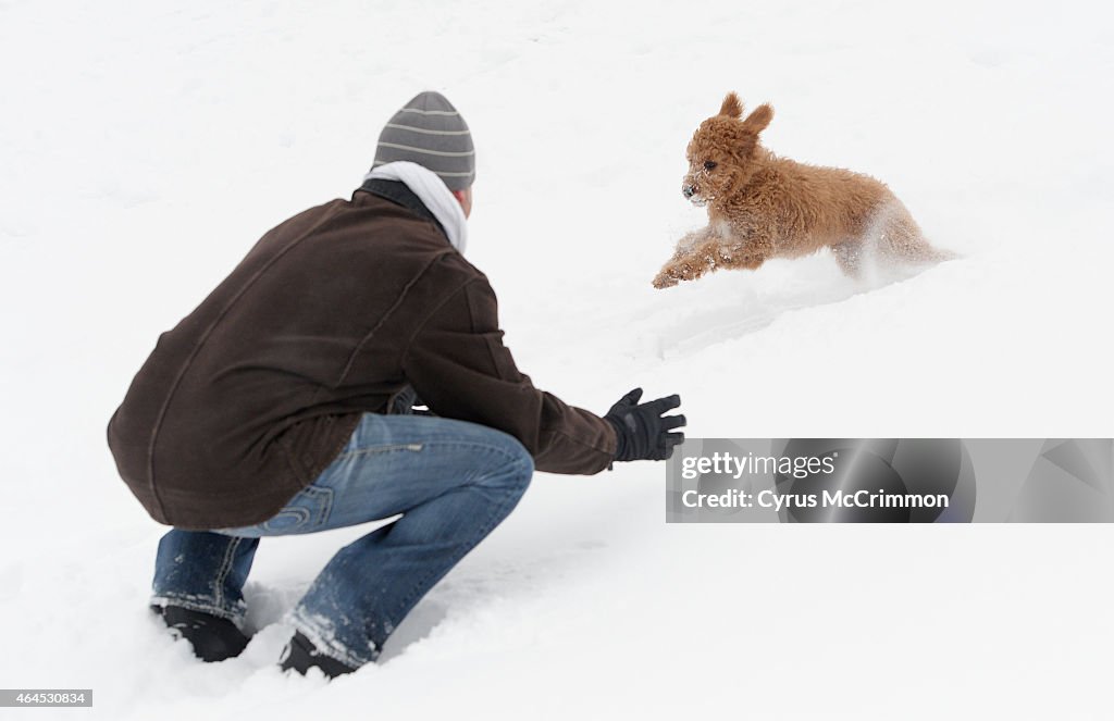 Denver was digging out from an overnight snowstorm that hit the city. Cody Knauss took his 13-week-old Goldendoodle "Rowan" out to play in the snow at Riverfront Park