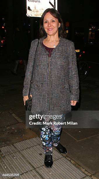 Arlene Phillips at the Fuerzabruta VIP night at the Roundhouse on January 22, 2014 in London, England.