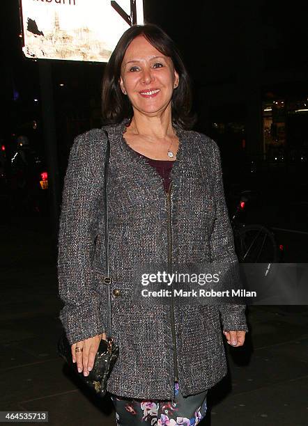 Arlene Phillips at the Fuerzabruta VIP night at the Roundhouse on January 22, 2014 in London, England.