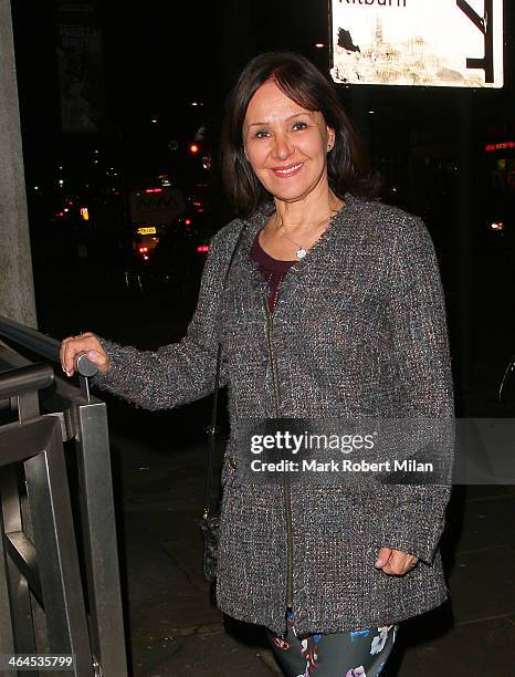 Arlene Phillips at the Fuerzabruta VIP night at the Roundhouse on January 22, 2014 in London, England.