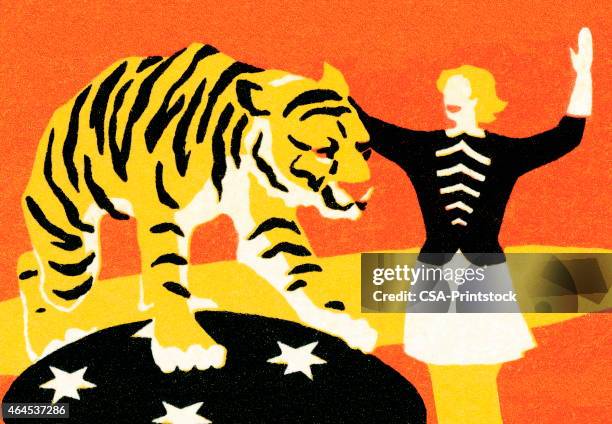 circus frau mit tiger - zirkus stock-grafiken, -clipart, -cartoons und -symbole