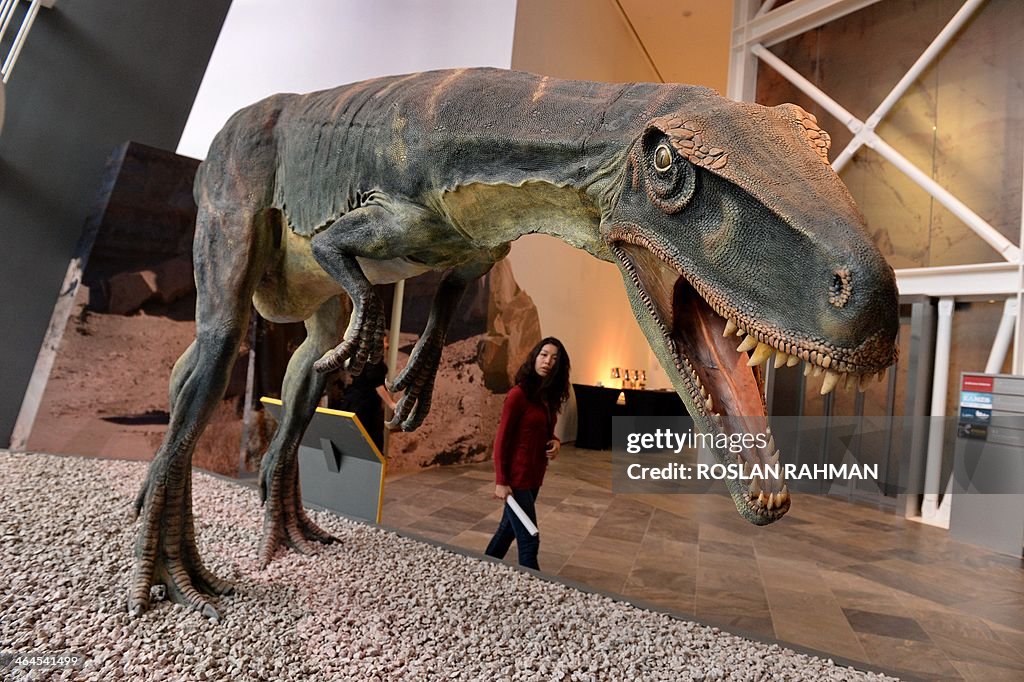 SINGAPORE-DINOSAUR-MUSEUM