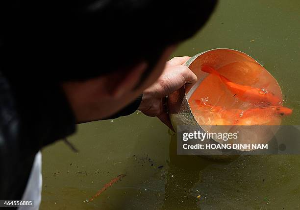 Man releases red carps into Hoan Kiem lake in downtown Hanoi as Vietnamese celebrate the traditional Kitchen God Day on January 23, 2014. It is...