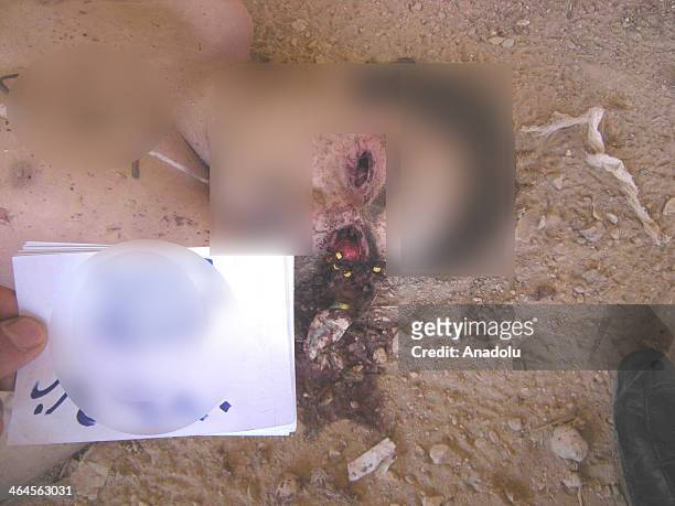 New exclusive photos of Syria War Crime Evidences are released by National Coalition for Syrian Revolutionary and Opposition Forces on January 23,...