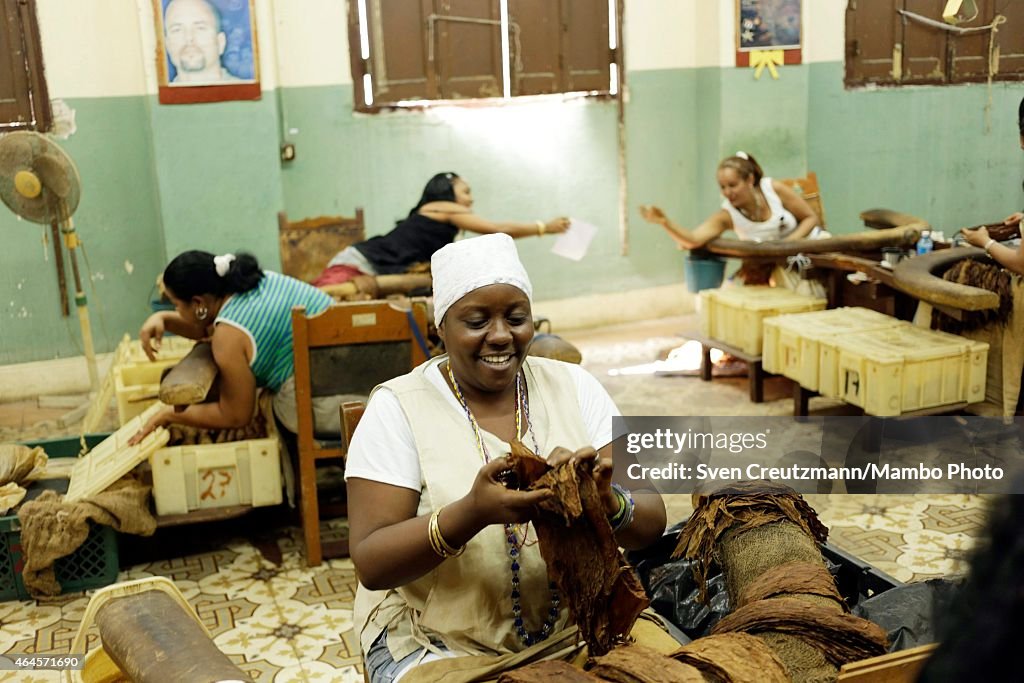 Havana Hosts Annual Tobacco Festival