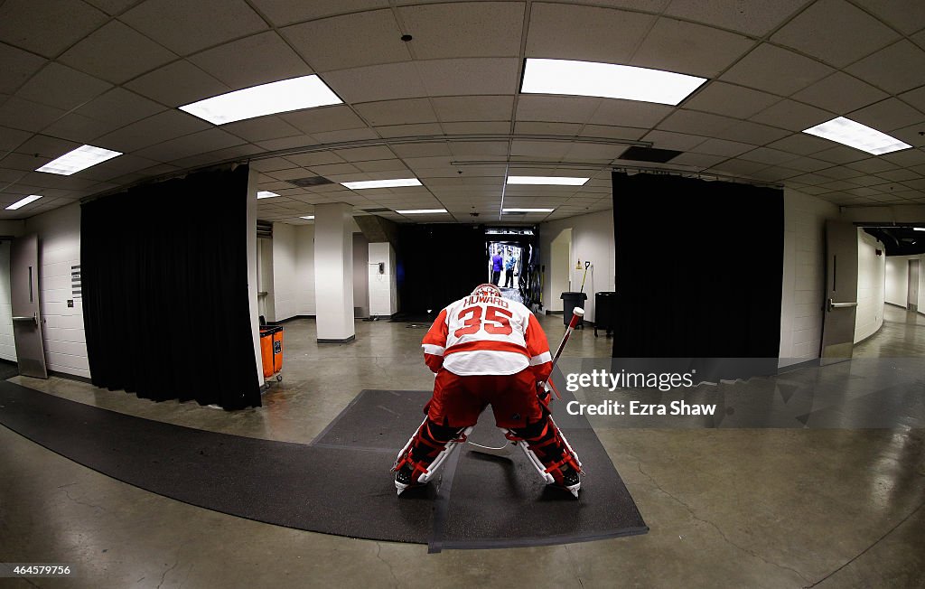 Detroit Red Wings v San Jose Sharks