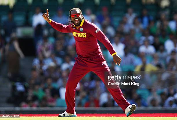 Chris Gayle of West Indies celebrates taking the wicket of FHashim Amla of South Africa during the 2015 ICC Cricket World Cup match between South...