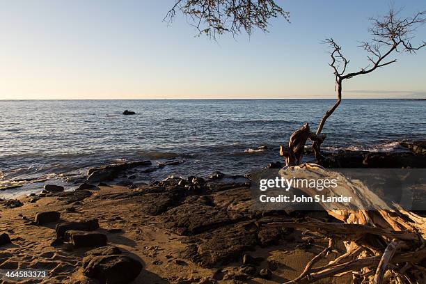 Anaehoomalu Beach, sometimes called Waikoloa Beach, is on the South Kohala coast on the Big Island of Hawaii. Anaehoomalu Bay is a palm fringed beach...