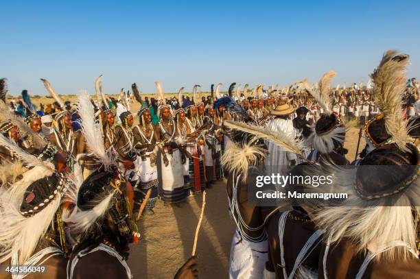 young bororo men dancing during gerewol festival - tribal dancing stockfoto's en -beelden