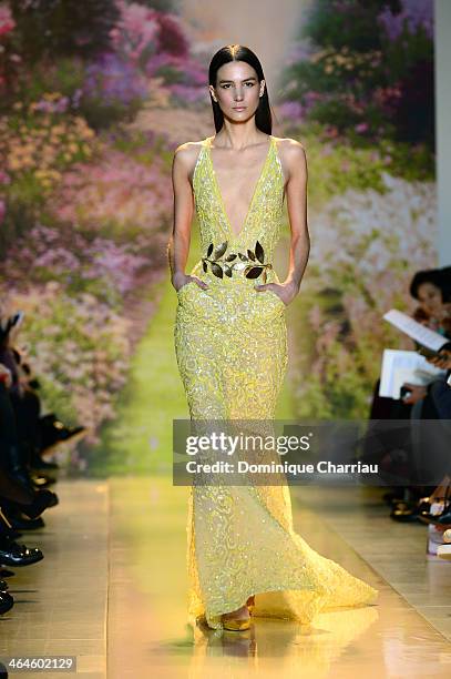 Model walks the runway during Zuhair Murad Prive show as part of Paris Fashion Week Haute Couture Spring/Summer 2014 on January 23, 2014 in Paris,...