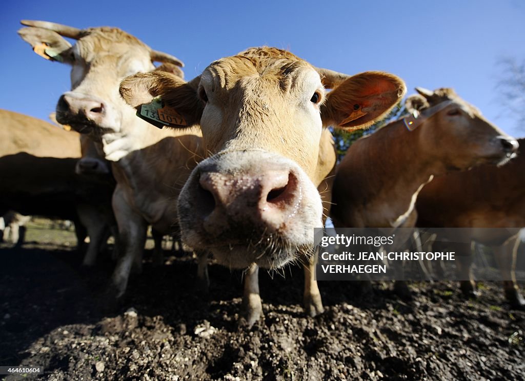 FRANCE-GASTRONOMY-BREEDER-BUTCHER-POLMARD