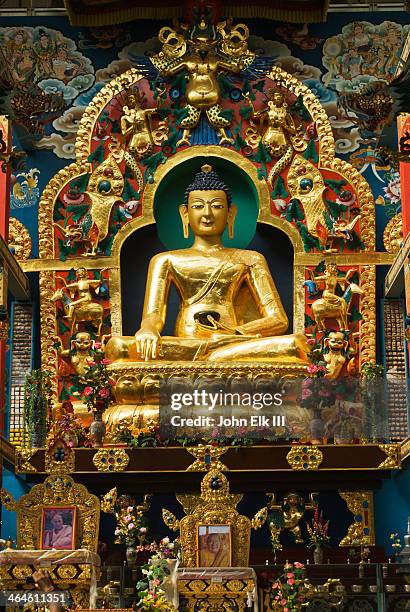 namdroling tibetan monastery, golden temple - golden palace interior stock pictures, royalty-free photos & images