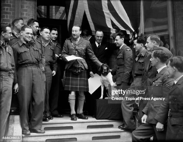 Judy the English Pointer receives a Dickin Medal, the PDSA's version of a Victoria Cross, from Major Roderick Mackenzie, 4th Earl of Cromartie , at...