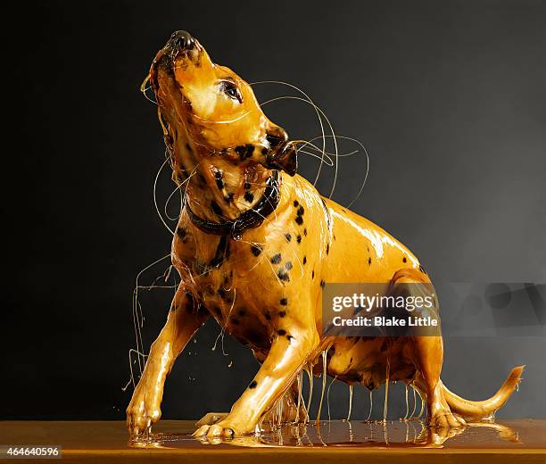 Blake Little 57 Blake Little Preservation Stock Photos, High-Res Pictures, and ...
