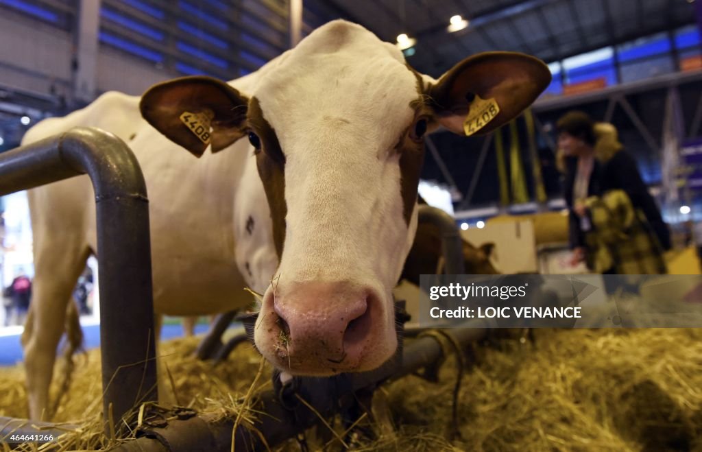 FRANCE-ECONOMY-AGRICULTURE-COW