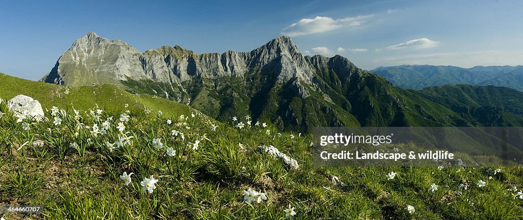 Monte croce