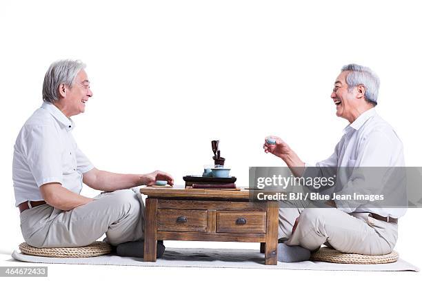 male senior friends chatting over tea - 胡坐　横 ストックフォトと画像