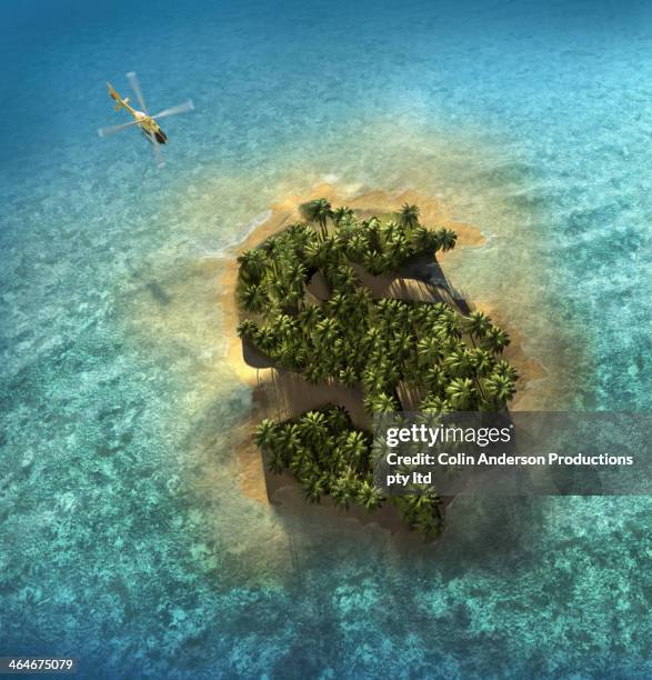 dollar sign growing on tropical island - helicopter money stock pictures, royalty-free photos & images