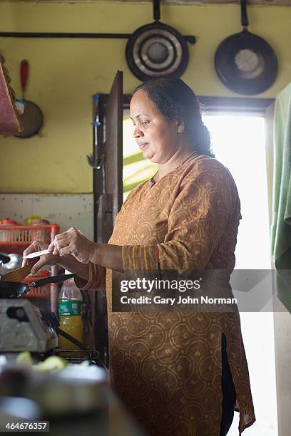 traditional woman cooking on gas stove - daily life in kerala stock-fotos und bilder