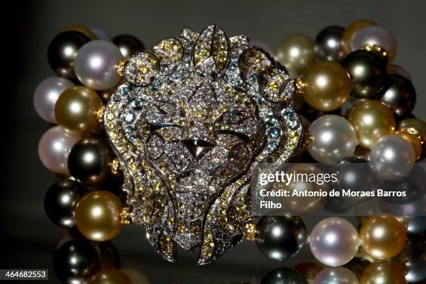 Detail of the jewelry of the new Fine Jewelry collection from Chanel during Paris Fashion Week Haute Couture Spring/Summer 2014 on January 23, 2014...