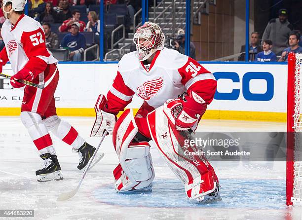 Goalie Tom McCollum of the Detroit Red Wings skates against the Tampa Bay Lightning at the Amalie Arena on January 29, 2015 in Tampa, Florida.
