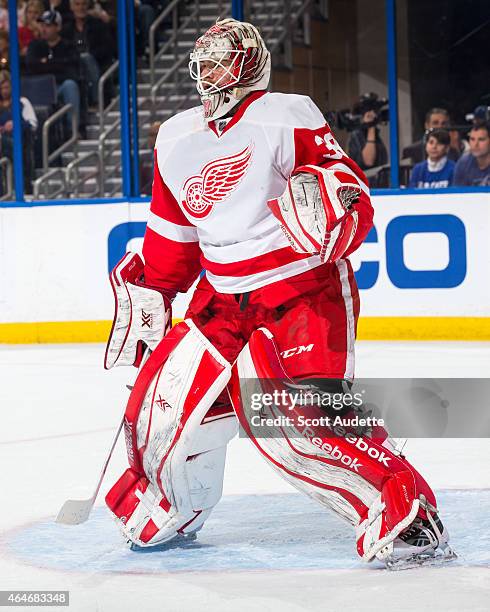 Goalie Tom McCollum of the Detroit Red Wings skates against the Tampa Bay Lightning at the Amalie Arena on January 29, 2015 in Tampa, Florida.