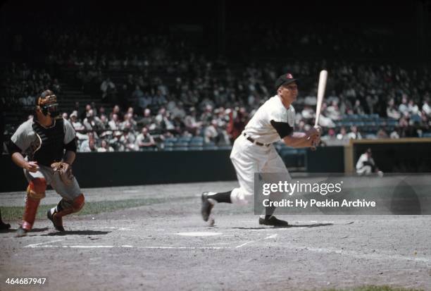 Al Rosen of the Cleveland Indians at bat at Cleveland Municipal Stadium circa 1955 in Cleveland, Ohio.