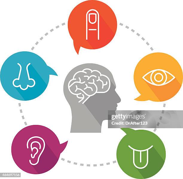 stockillustraties, clipart, cartoons en iconen met human head and sensory perception - zintuigelijke waarneming