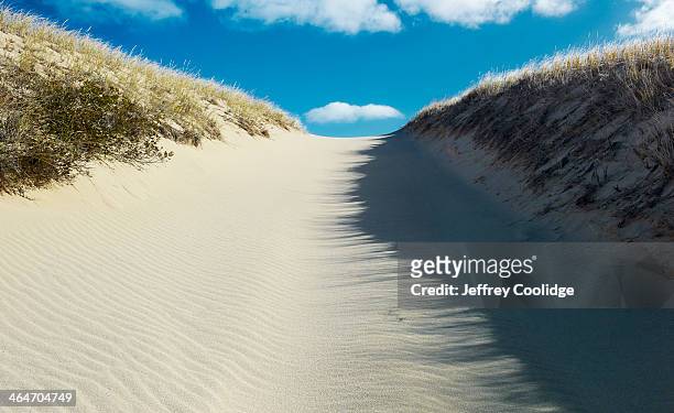 dune path cape cod - provincetown stockfoto's en -beelden