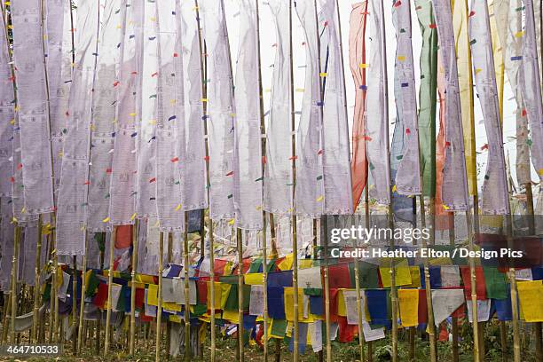 buddhist prayer flags at tashiding monastery - tashiding monastery stock pictures, royalty-free photos & images