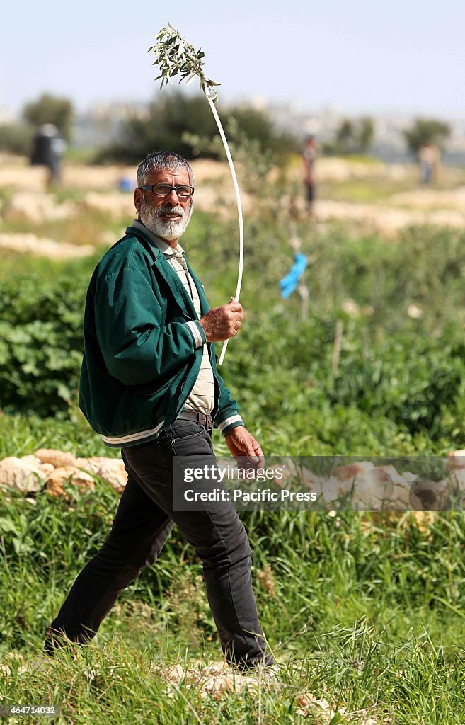 A man holds an olive branch, a symbol of peace during a...