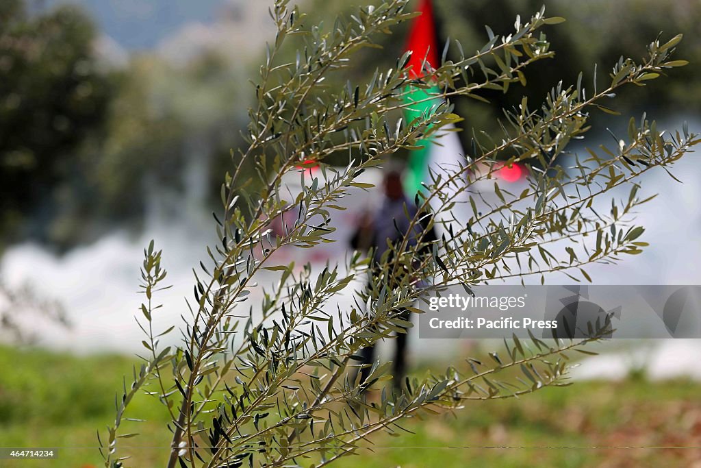 In the midst, a man holds a Palestinian flag while tear gas...