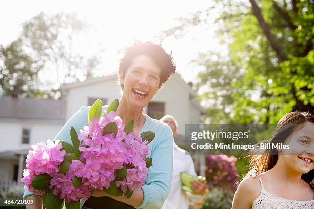 a summer family gathering at a farm. a woman carrying a large bunch of rhododendron flowers, smiling broadly. - day anniversary stockfoto's en -beelden