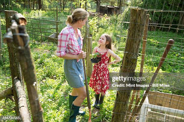 a woman and a child standing at the open gate of a fenced enclosure. a girl holding a small plant in a pot. - small cotton plant stockfoto's en -beelden