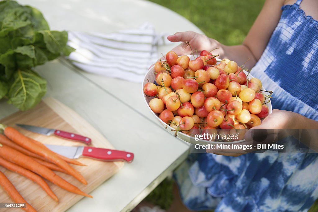 A summer family gathering at a farm. A child carrying a bowl of fresh picked cherries to a buffet table.