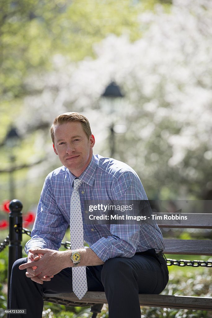 A businessman in a shirt with white tie, sitting on a park bench under the shade of a tree with blossom.