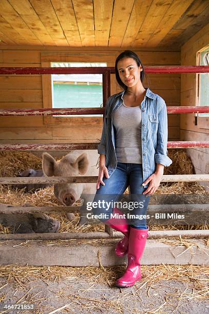 an organic farm in the catskills. a woman beside a pig in a pen,standing in deep straw. - wellington boots stock pictures, royalty-free photos & images