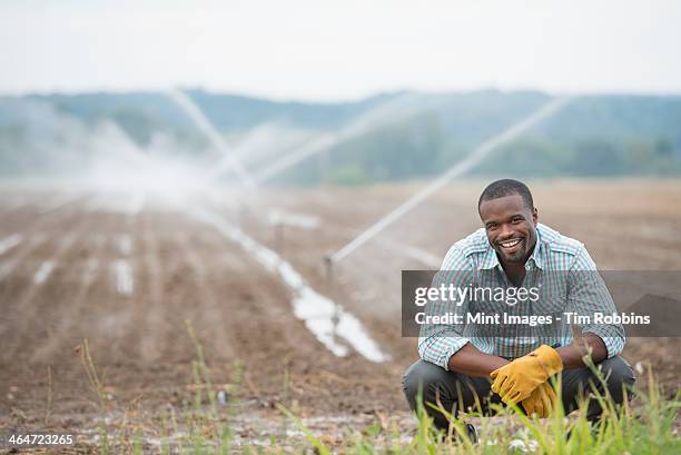 an organic vegetable farm,with water sprinklers irrigating the fields. a man in working clothes. - african american farmer stock pictures, royalty-free photos & images