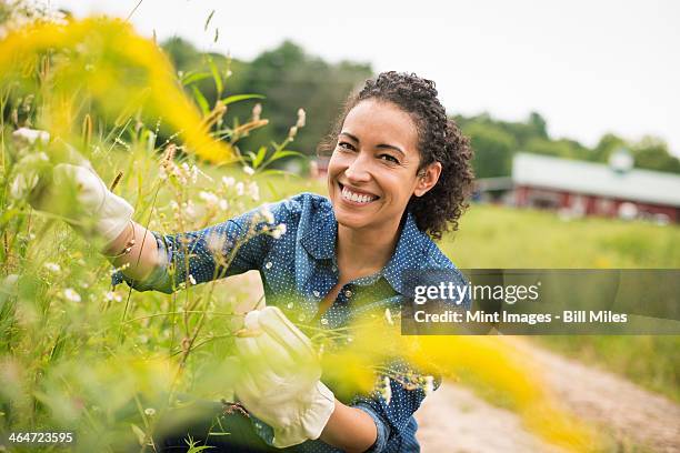 woman working on an organic farm. wearing gloves admiring tall flowering plants. - smiling natural woman countryside stock pictures, royalty-free photos & images