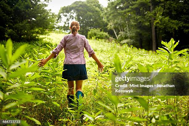 a woman walking through the undergrowth in woodland,with her arms brushing the tops of the wild plants. - forest bathing stock pictures, royalty-free photos & images