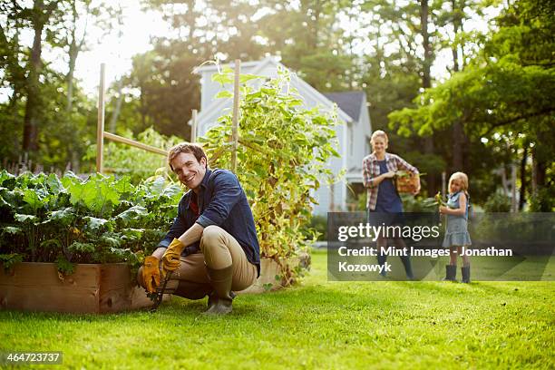 three people,two adults and a child in a vegetable garden. - share house foto e immagini stock