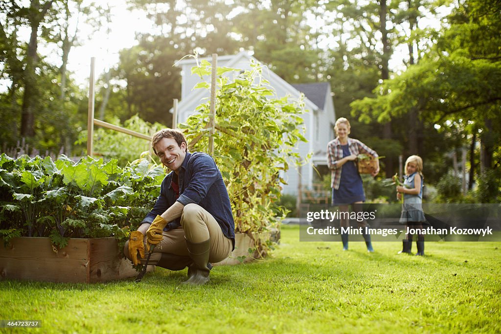 Three people,two adults and a child in a vegetable garden.