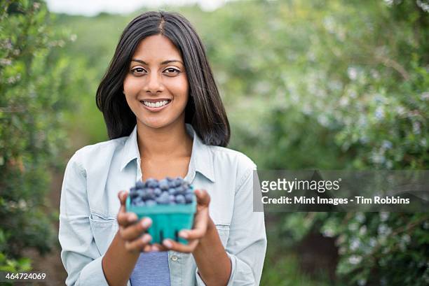 organic farming. a woman holding a punnet of fresh picked organic blueberries,cyanococcus. - fruit carton stock pictures, royalty-free photos & images
