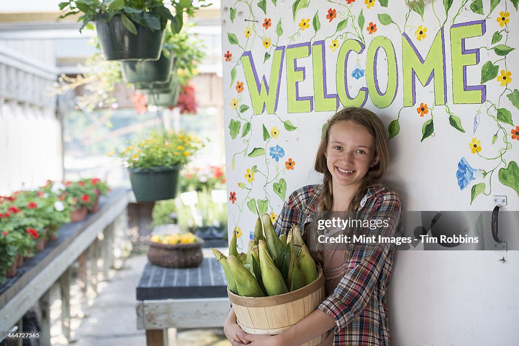 Summer on an organic farm. A girl holding a basket of fresh corn standing by the Welcome sign.